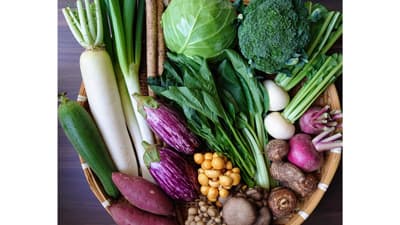 【現場で役立つ農薬の基礎知識2024】秋冬野菜の病害虫防除　気象異変 予防的措置に徹し