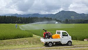 【現場で役立つ農薬の基礎知識2022】水稲の本田防除　計画的予防散布が効率的