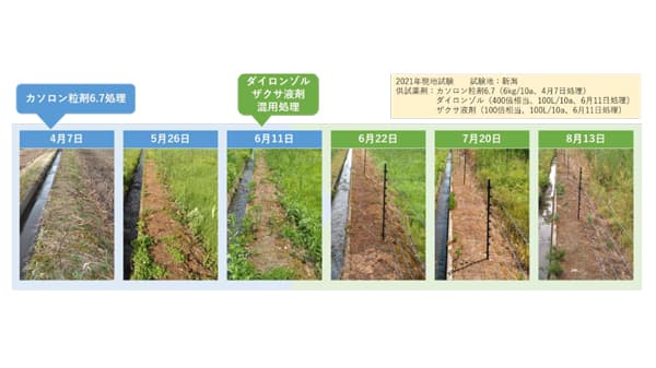 電気柵の漏電防止は除草がカギ　C-DZ作戦で省力的に！　北興化学工業