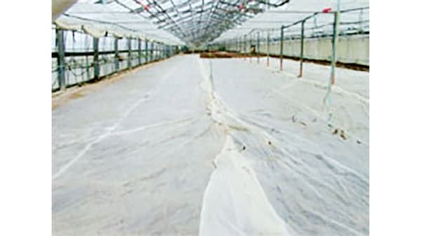 【サステナ防除のすすめ2025】連作障害"待った"　野菜の土壌消毒編（1）