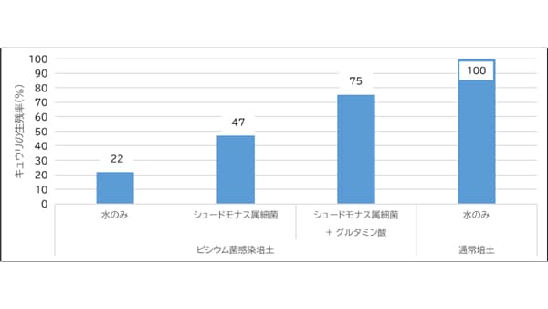 日本曹達　微生物農薬「マスタピース水和剤」新たな効果とメカニズムを発見　農研機構
