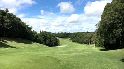 数量、金額ともに減少　緑地・ゴルフ場向け農薬出荷実績　2022農薬年度