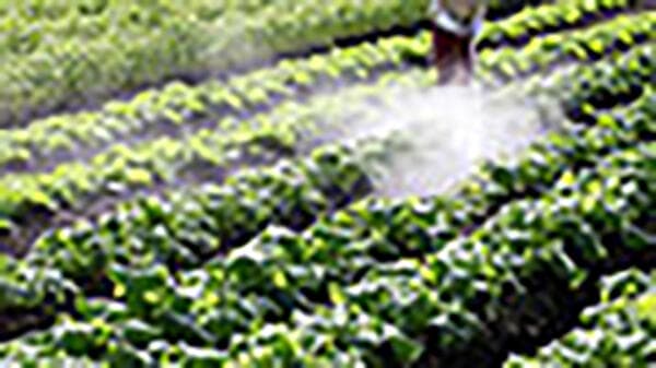 野菜の病害防除12　土壌病害(2)【防除学習帖】第58回