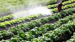 天然キレート剤市場における農薬用途　2030年に2億1500万米ドル到達予測