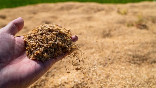 【現場で役立つ農薬の基礎知識2022】堆肥利用に高まる関心　土づくりと複合肥料活用のコツは（１）