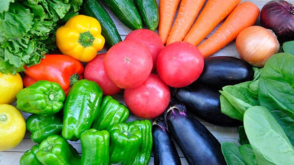 春夏野菜の病害虫防除　気候変動見逃さず（1）耕種的防除を併用【サステナ防除のすすめ2025】