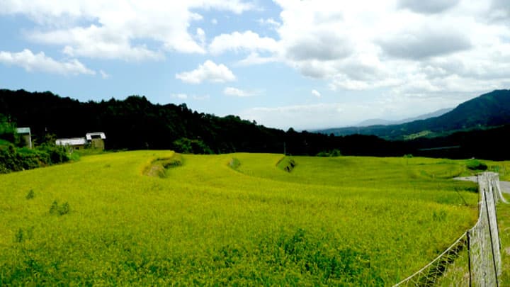 土づくり特集・肥料取締法を改正　地力の回復へ（２）　デンカ（株）技術顧問　吉田吉明・技術士【現場で役立つ農薬の基礎知識2020】