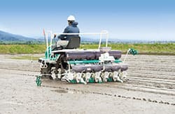 【現場で役立つ農薬の基礎知識2015】水稲直播栽培と雑草防除