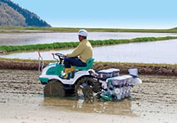 【水稲直播栽培と雑草防除】初期防除の成否が収量に影響