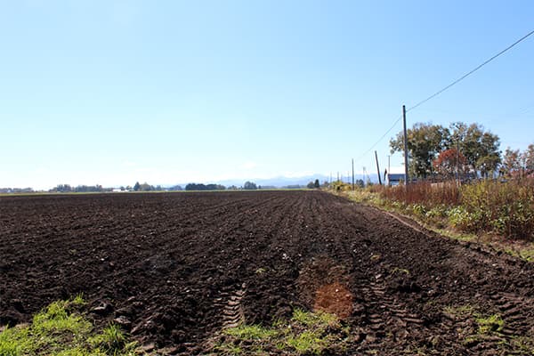 土づくりが決める品質と収量