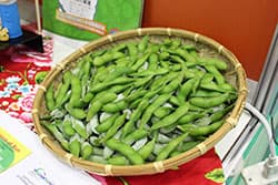 活力あふれる台湾の農業 ――台湾国際果実・野菜見本市で感じたこと 台湾の農業事情（下）