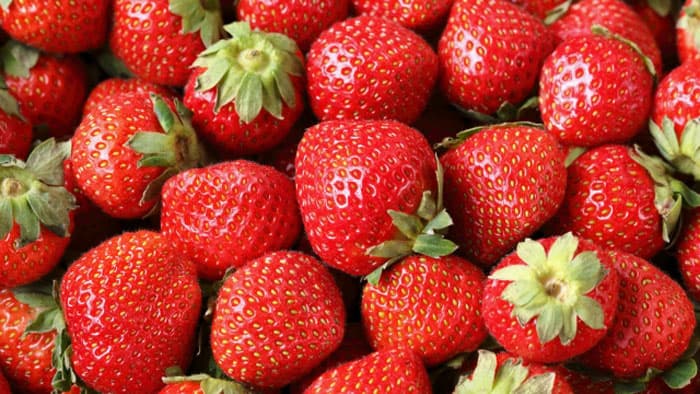 1位は栃木県「とちおとめ」全国「いちご県」イメージランキング