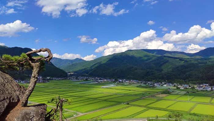 地元ブランド米で「GI利根沼田」認定の日本酒3種を発売　永井酒造