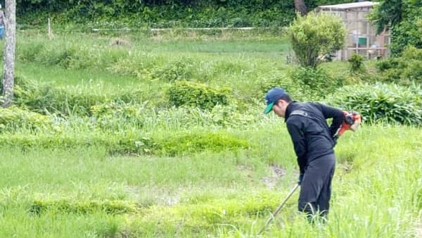 能登の稲作再生へ43人派遣　草刈りや田植えなど支援　パルシステム連合会