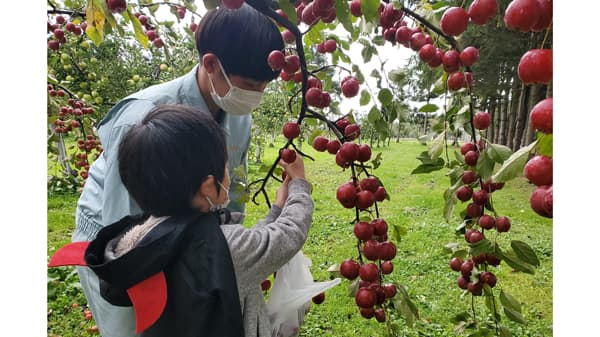 「第26回ボランティア・スピリット・アワード 全国賞」青森県立五所川原農林高校6次産業研究室が受賞
