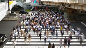 人流が戻り、店内飲食は回復もインフレに直面　外食産業市場動向調査10月度