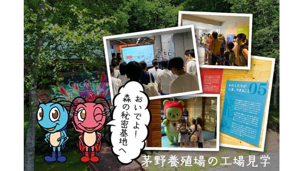 コオロギ養殖事業に4000万円 諏訪信金・日本公庫から協調融資 クリケットファーム