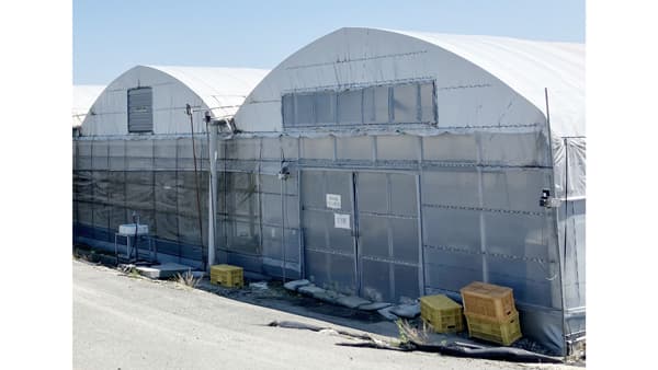 「業務用の八百屋」最大手が農業に新規参入　熊本に自社農場を開設　デリカフーズ