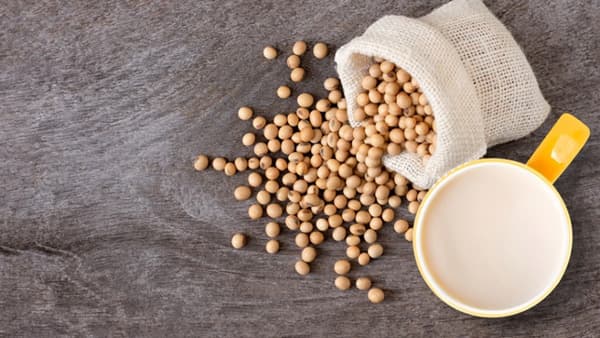 10月は「豆乳月間」箱根小涌園ユネッサンでコラボイベント実施　日本豆乳協会