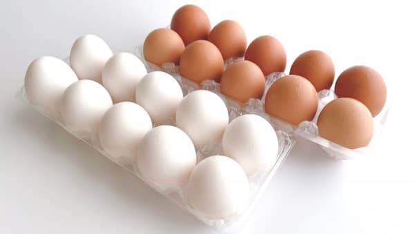 防げるか？エッグショック再来　クリスマス前、走る緊張　コスト増で産地苦悩