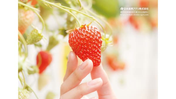 関空至近の新たな体験型農園「Refarm YOSHIMI 370」整備に着手　日本振興