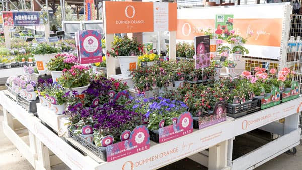 デュメンオレンジ　日本初のブランド売り場が静岡のホームセンターに誕生