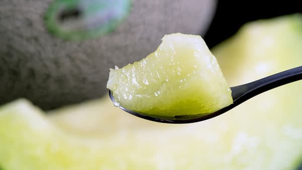 大玉・高糖度メロン「肥後グリーン」食べ納めイベント開催　くまモンシール付き限定品も　豊洲市場ドットコム