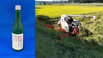 田んぼの恵みを味わって！今年も横浜市内産100%の酒米による日本酒が完成　横浜市