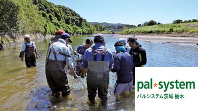 茨城県初のウナギ生息モニタリング「石倉カゴ」設置　パルシステム茨城 栃木