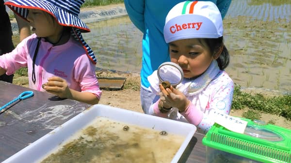 ＪＡ佐久浅間で草取り体験　草も虫も育む豊かな田んぼを体感　パルシステム東京
