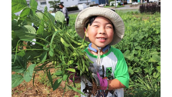 伊勢崎市で夏の農業体験　枝豆を収穫・試食　パルシステム群馬