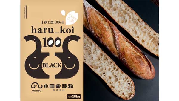 北海道産小麦「春よ恋」100％使用第3弾「haru_koi 100 black」発売　小田象製粉
