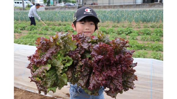 畑の四季を全身で体験　群馬産直協議会「めぐるんま」生産者と農作業　パルシステム