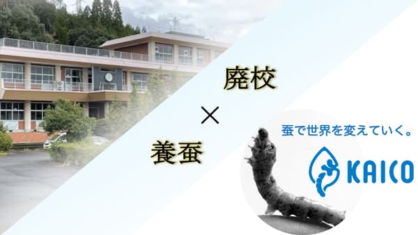 廃校活用で養蚕　熊本県あさぎり町で6月から飼育開始　KAICO