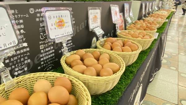 「幻の卵屋さん」8月はさいたま・浦和と大井町に出店　日本たまごかけごはん研究所