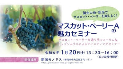 新潟生まれのブドウ品種「マスカット・ベーリーA」魅力セミナー開催