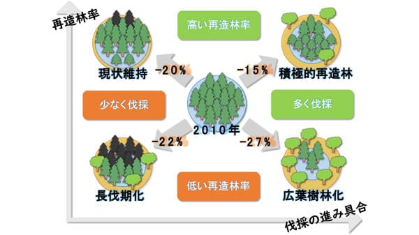 スギ人工林による年間の炭素吸収量を将来予測　森林総研×岐阜大