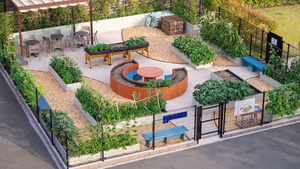 都市型スマート農園でフレイル予防・改善　東大IOGと実証実験開始　タニタ