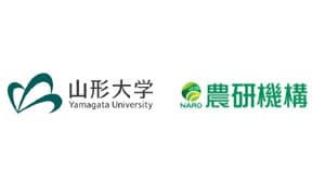 トマトの病原菌の感染指標に　植物体内成分の非破壊検出に成功　山形大学