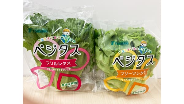 Green Factory TFKと工場野菜の販売委託・コンサル契約締結　ツバキベジムーブ