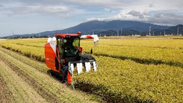 長野県で農業事業に本格参入「ちくほく農場」がグループ入り　綿半ホールディングス