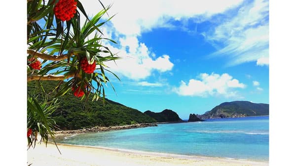 鹿児島の知られざる逸品「南国かごしま キラリグルメフェア」東京駅で初開催