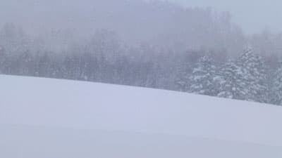 農畜産物のコンテナ600個が貨物駅滞留　北海道の大雪影響