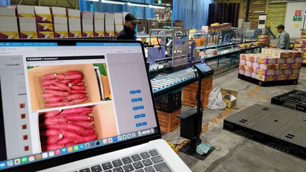 国内最大級　サツマイモ選果場のトレーサビリティシステムを動画公開　日本流通管理支援機構