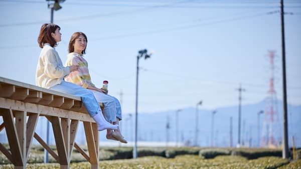 狭山茶の茶畑で絶景を　埼玉県入間市に茶畑テラス「茶の輪」オープン