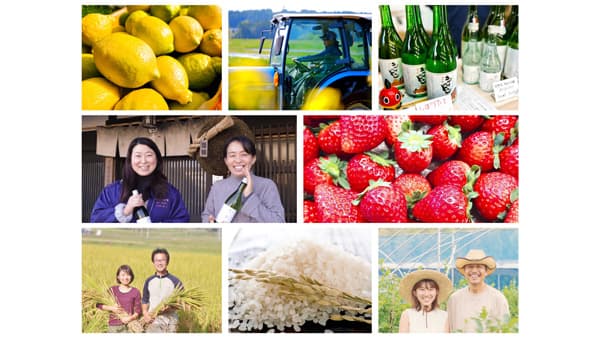 栃木の6生産者が集結　旬の味覚を堪能「畑のマルシェ」開催　那須千本松牧場