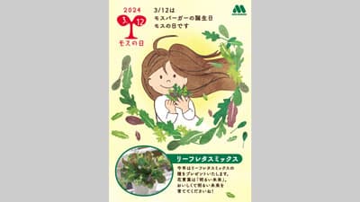 3月12日は「モスの日」リーフレタスミックスの種をプレゼント　モスバーガー