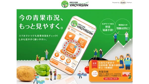 農業経営効率化へ　青果市況情報アプリ「YAOYASAN」に分析機能追加　住友化学