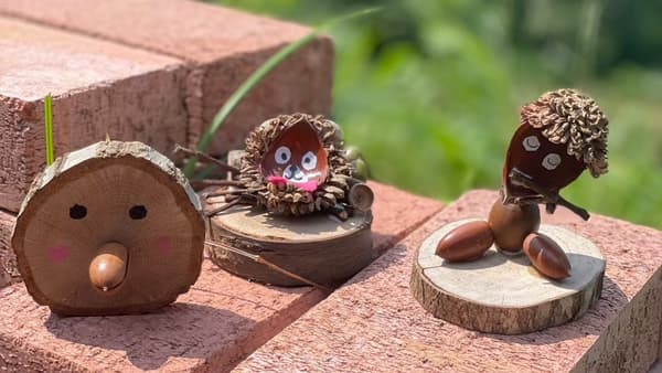 秋を迎えに栗拾い　稲城市の里山でどんぐりアートづくり開催　パルシステム東京