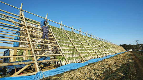 伝統のやぐら干し「産直大根ぬか漬けたくあん」がグッドデザイン賞受賞　パルシステム